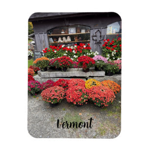 Farbenfrohe Herbst-Chrysanthemen Magnet