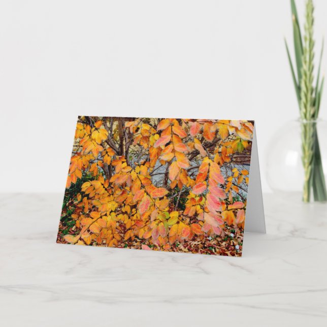 Farbenfrohe Herbstausgabe Grußkarte fallen lassen Karte (Vorderseite)