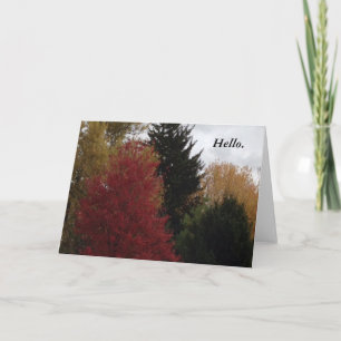 Farbenfrohe Herbstbäume Hallo Grußkarten Karte