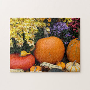 Farbenfrohe Herbstdekoration mit Kürbissen