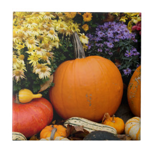 Farbenfrohe Herbstdekoration mit Kürbissen Fliese