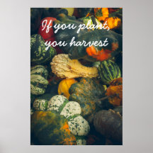 Farbenfrohe Herbstkurz und Kürbis