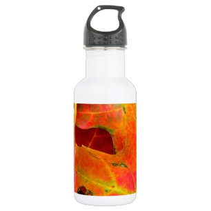 Farbenfrohe Herbstlage lässt Nahen nach Trinkflasche