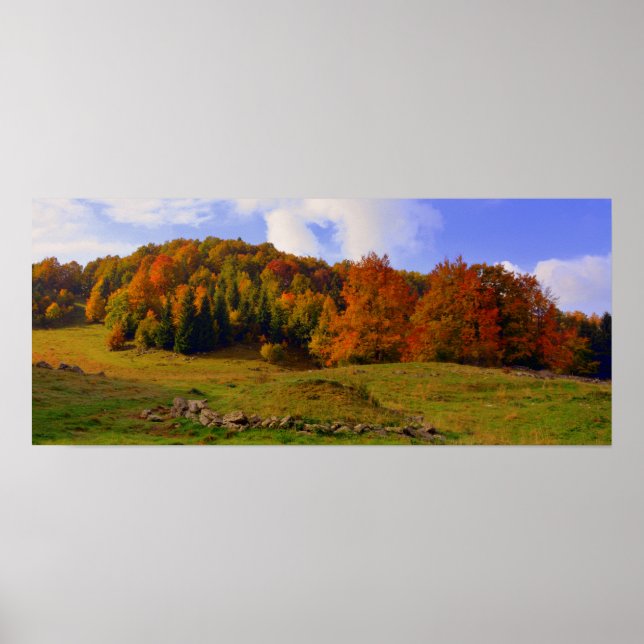 Farbenfrohe Herbstlandschaft Poster (Vorne)
