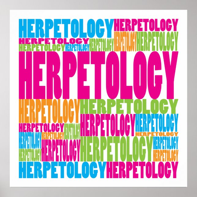 Farbenfrohe Herpetologie Poster (Vorne)