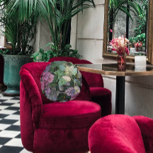 Farbenfrohe Heuchera Pflanze Blätter Botanisch