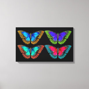 Farbenfrohe Hübsche Schmetterlingsszene Leinwand