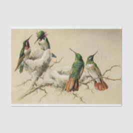 Farbenfrohe Hummingbirds with Nest, Hector Giacome Seidenpapier