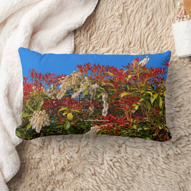 Farbenfrohe japanische Andromeda Bonfire Shrub Lendenkissen (Decke)