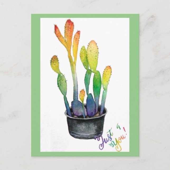 Farbenfrohe Kakti Postkarte (Vorderseite)
