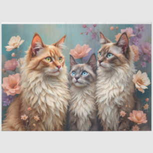 Farbenfrohe Katzen aus dem Himalaya auf pastellfar Seidenpapier