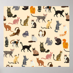 Farbenfrohe Katzen: Unterschiedliches Zuchtmuster Poster