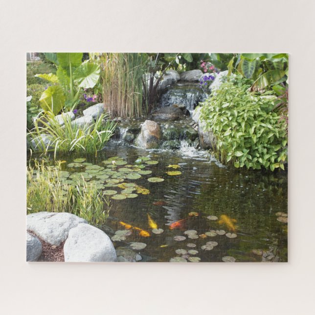 Farbenfrohe Koi im Lily-Teich mit Wasserfall (Horizontal)