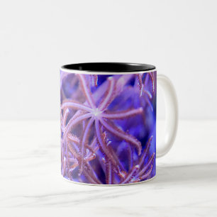 Farbenfrohe Korallenriffe Zweifarbige Tasse