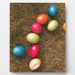 Farbenfrohe lackierte Eier im Garten, Ostereier Fotoplatte