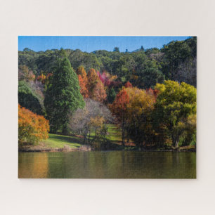 Farbenfrohe Landschaft des Baumes, 520 Stück