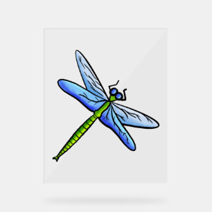 Farbenfrohe Libelle am Ast Acrylschild