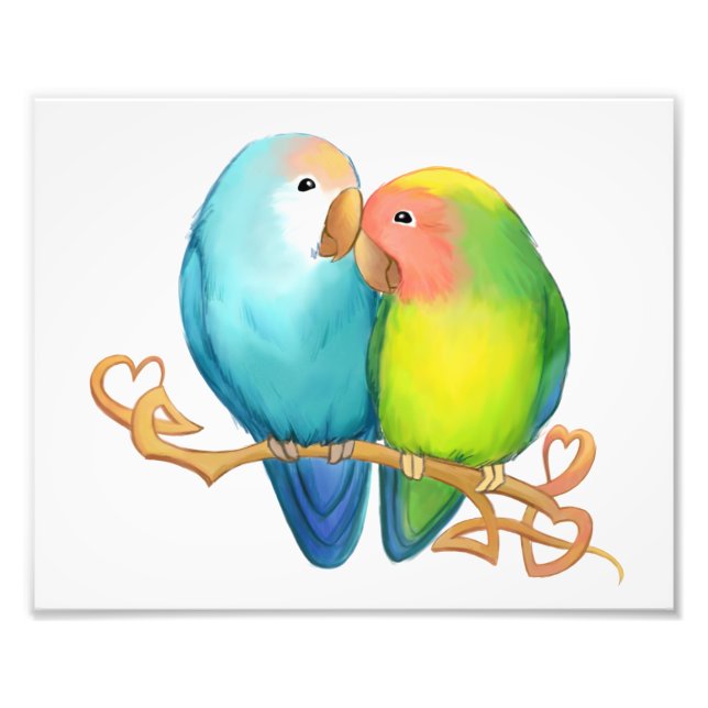 Farbenfrohe Lovebirds Fotodruck (Vorne)