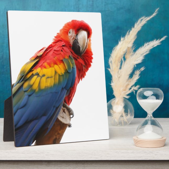 Farbenfrohe Macaw Chic Classy Mod Tropical Fotoplatte (Seite)