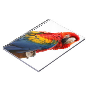 Farbenfrohe Macaw Chic Classy Mod Tropical Notizblock