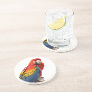 Farbenfrohe Macaw Chic Classy Mod Tropical Untersetzer