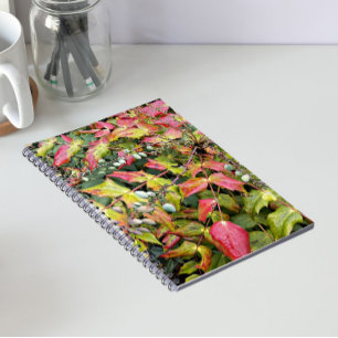 Farbenfrohe Mahonia-Blätter mit Berries Floral Notizblock