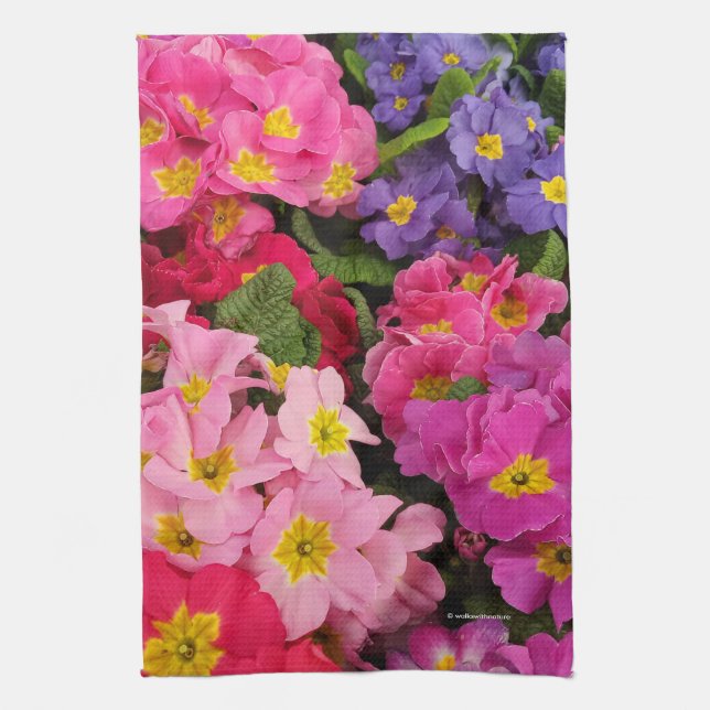 Farbenfrohe Medley Pink Blue Lila Primula Blume Geschirrtuch (Vertikal)