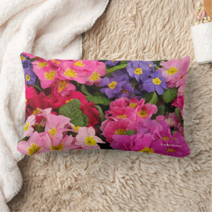 Farbenfrohe Medley Pink Blue Lila Primula Blume Lendenkissen