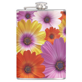 Farbenfrohe Medley von African Daisies Blume Flachmann