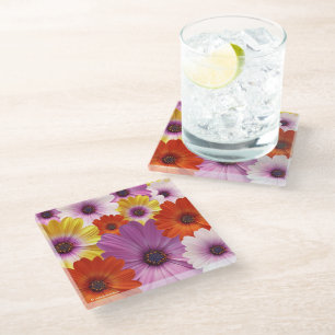 Farbenfrohe Medley von African Daisies Blume Glasuntersetzer