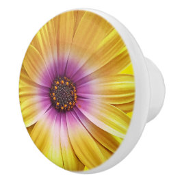 Farbenfrohe Medley von African Daisies Blume Keramikknauf
