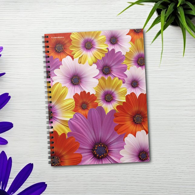 Farbenfrohe Medley von African Daisies Blume Notizblock (Colorful Medley of African Daisies Journal Cover Photo)