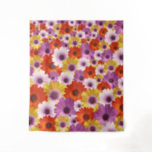 Farbenfrohe Medley von African Daisies Blume