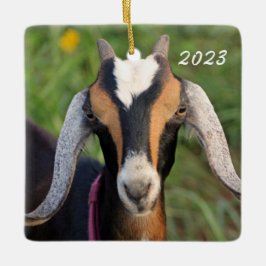 Farbenfrohe Mini Nubian Milchziege Kind Keramikornament