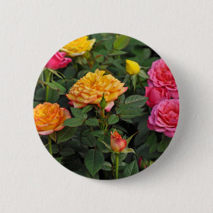 Farbenfrohe Miniaturrosen Button