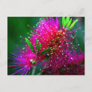Farbenfrohe Natur Floral Hot Pink Neon Grüne Blume Postkarte