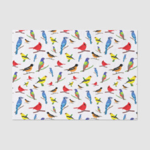 Farbenfrohe nordamerikanische Vogelmuster Napkins Seidenpapier