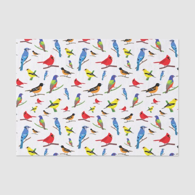 Farbenfrohe nordamerikanische Vogelmuster Napkins Seidenpapier (Vorderseite)