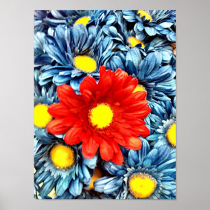 Farbenfrohe Orange Red Blue Gerber Daisies Blume Poster