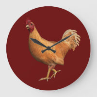 Farbenfrohe Orange Rooster