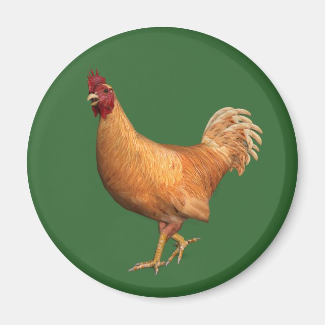 Farbenfrohe Orange Rooster Magnet (Vorne)