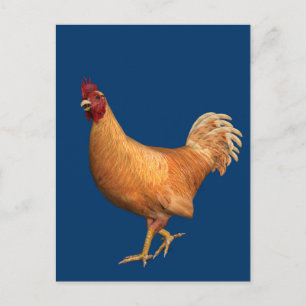 Farbenfrohe Orange Rooster Postkarte