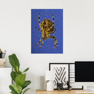 Farbenfrohe Orb Spider Poster