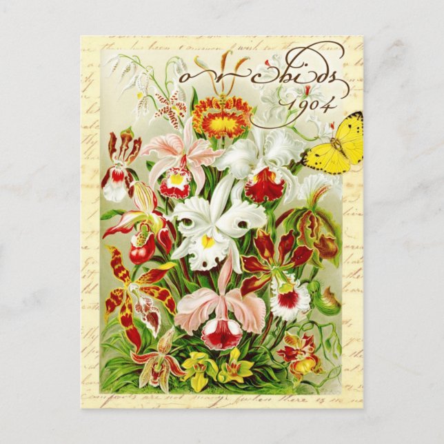 Farbenfrohe Orchideen und gelber Schmetterling Postkarte (Vorderseite)