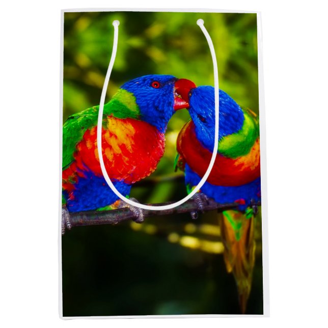 Farbenfrohe Papageien Mittlere Geschenktüte (Vorderseite)