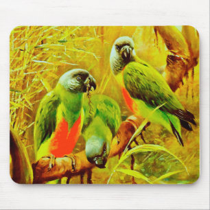 Farbenfrohe Papageien Mousepad