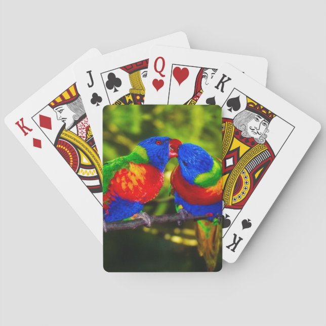 Farbenfrohe Papageien Spielkarten (Rückseite)
