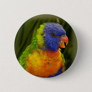 Farbenfrohe Parkettböden Button