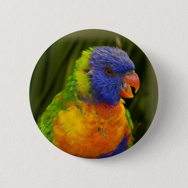 Farbenfrohe Parkettböden Button (Vorderseite)