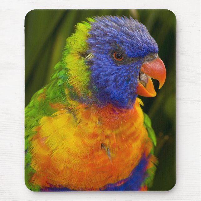 Farbenfrohe Parkettböden Mousepad (Vorne)